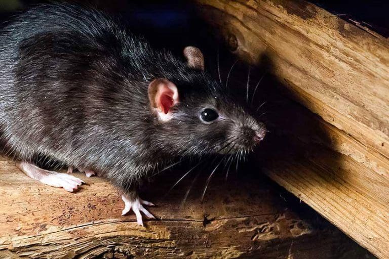 007cabf8-7bfa-11ee-b784-0242ac110002-jpg-hero_image