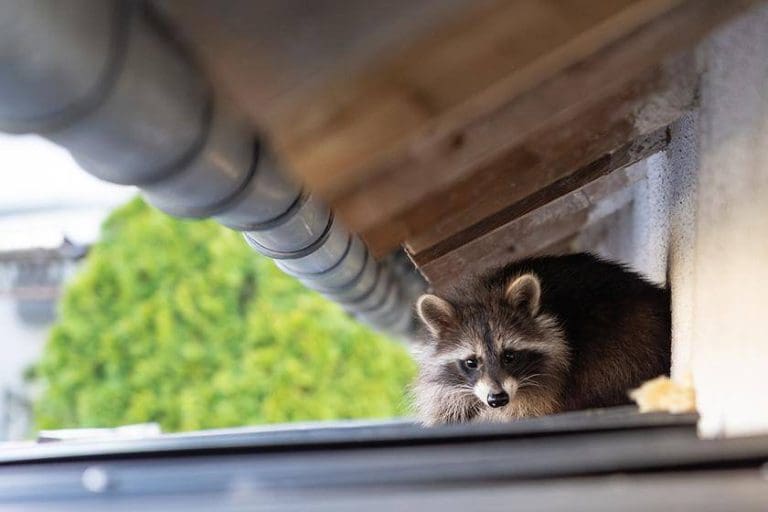 209c2690-89ef-11ee-9f5a-0242ac110002-jpg-hero_image