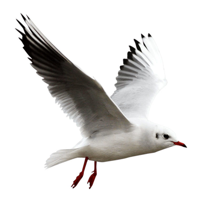 7179bda4-e13c-11ed-a767-0242ac110002-com-hero_image