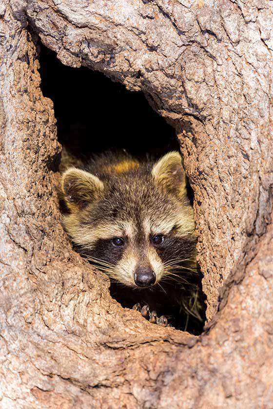 820480f4-89ee-11ee-9ff5-0242ac110002-jpg-hero_image