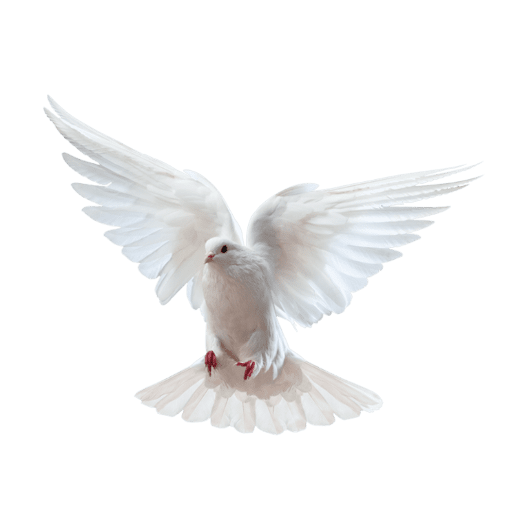 aeaacf78-e45d-11ed-a35d-0242ac110002-png-hero_image