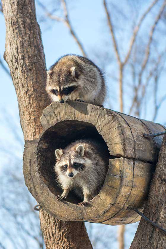 ba820622-89ee-11ee-91a1-0242ac110002-jpg-hero_image