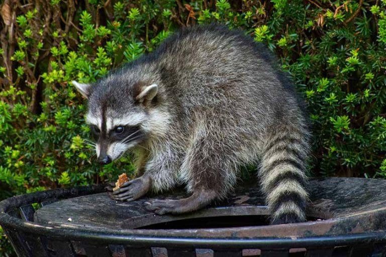 f7c72f4a-89ed-11ee-82c5-0242ac110002-jpg-hero_image