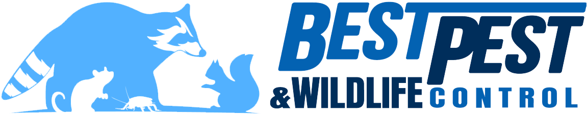 Best Pest