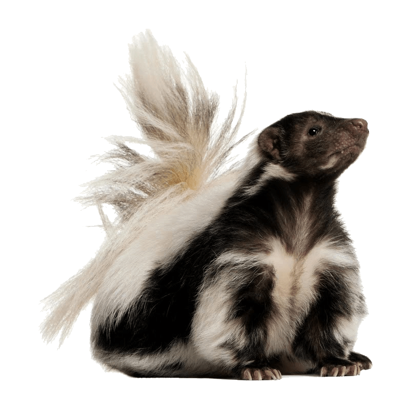 09a07966-4bcc-11ee-87d1-0242ac110002-png-regular_image